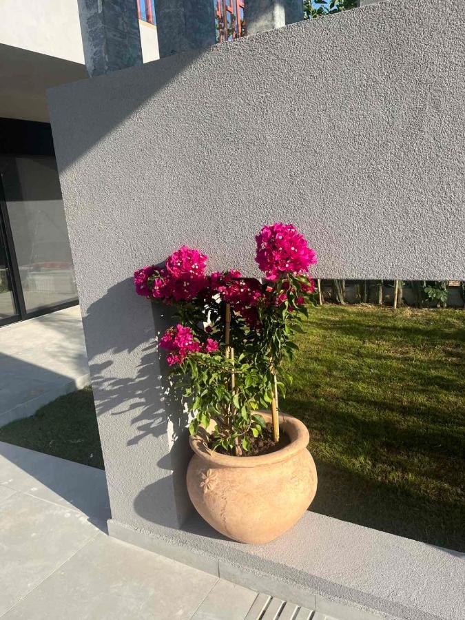 Grand Kourouta Villa Bagian luar foto